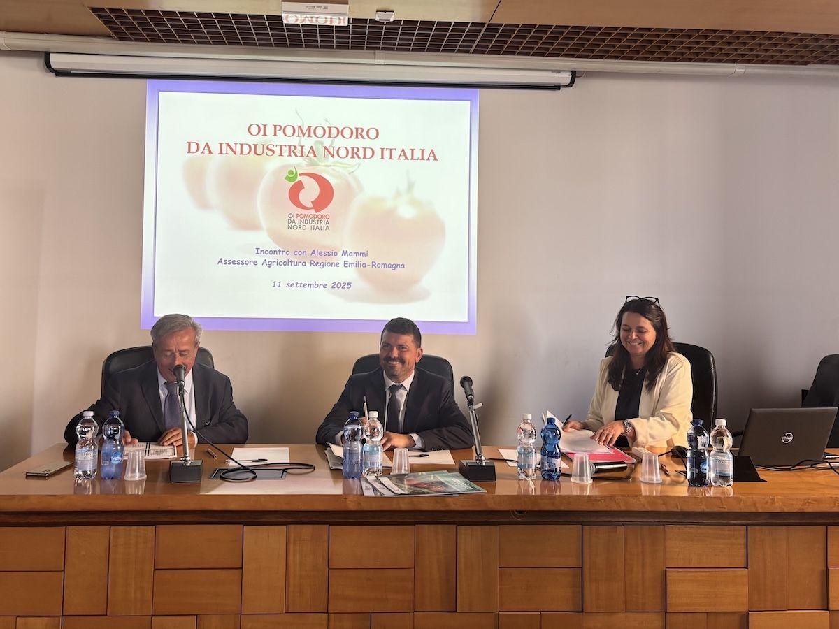 Campagna di pomodoro: ottima qualità, ma fatta al di sotto delle aspettative nel nord