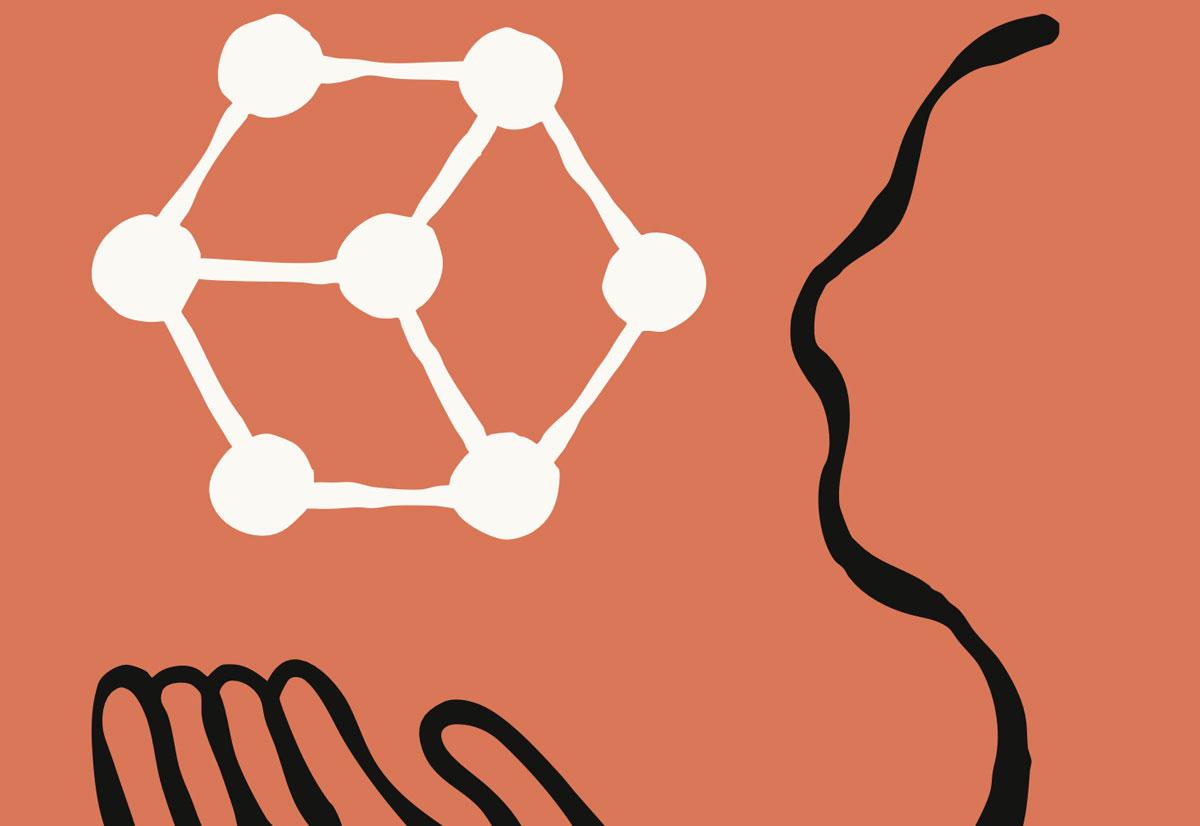 Programmazione delle streghe con antropic Claud Bonet 4.5 -