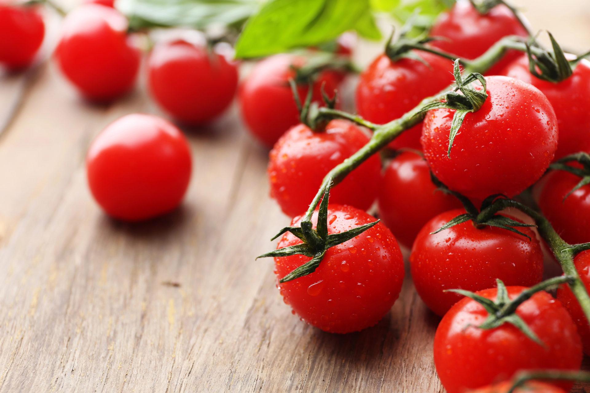 Pomodori siciliani infetti: più di 400 casi in Ue