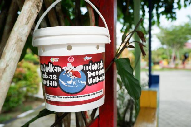 How does Wolbachia change the geopolitics of health?