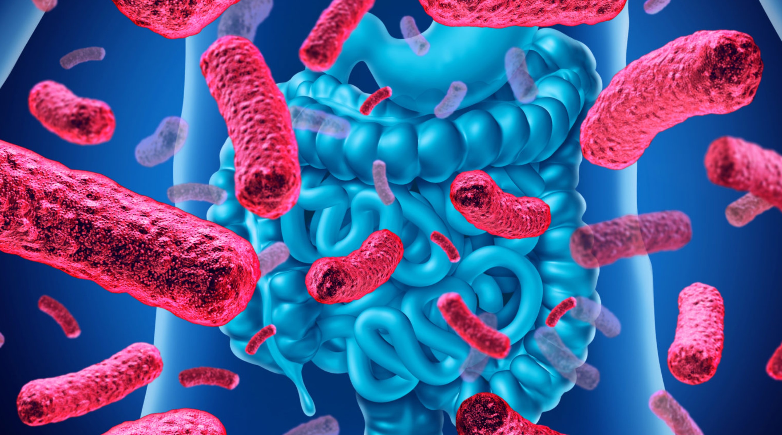 L'importanza del microbiota intestinale